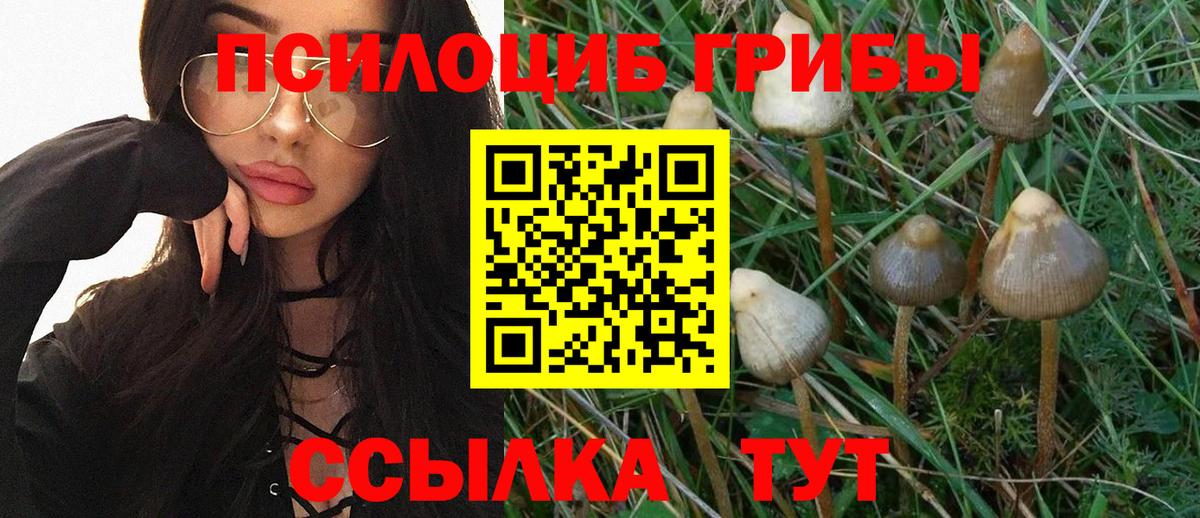 магазин продажи   Псилоцибиновые грибы Magic Shrooms  Киров  Вход с VPN  Псилоцибиновые грибы Magic Shrooms 
