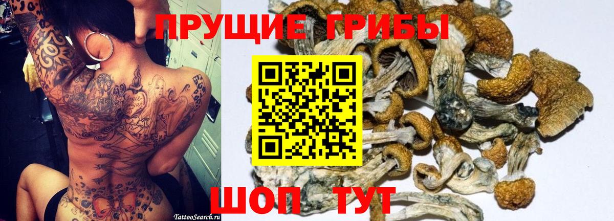 Галлюциногенные грибы Magic Shrooms Киров